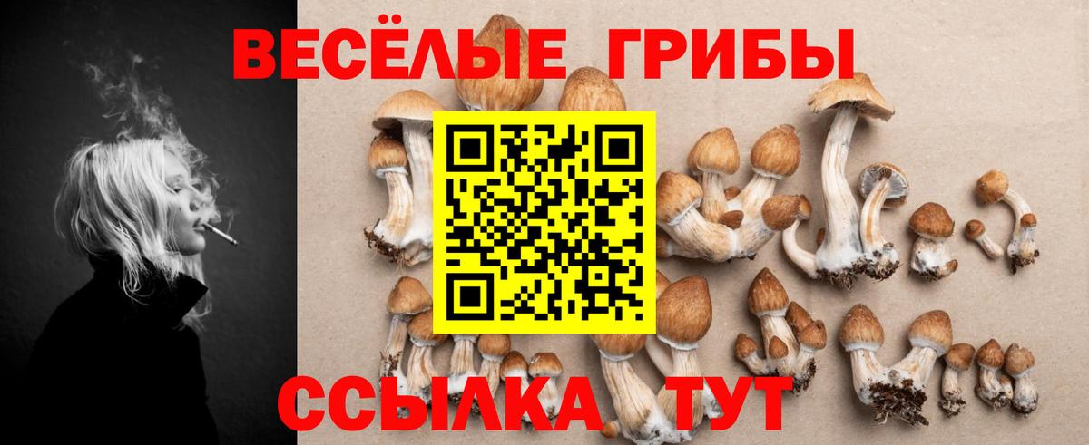Пушкино  Галлюциногенные грибы GOLDEN TEACHER  сколько стоит  Вход с VPN 