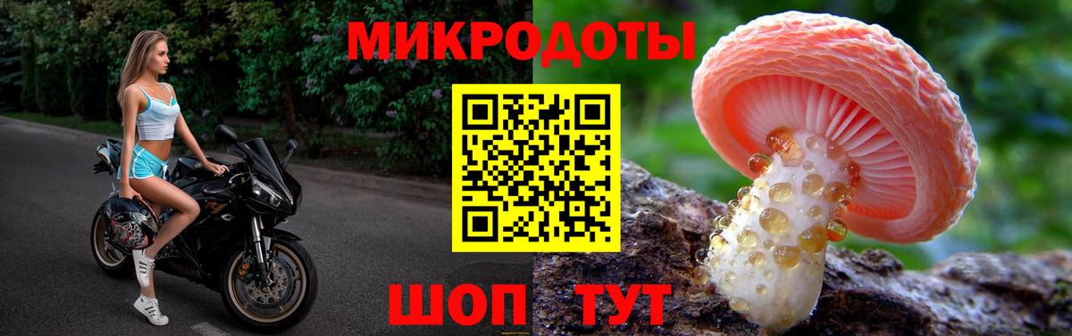 Галлюциногенные грибы прущие грибы Пушкино